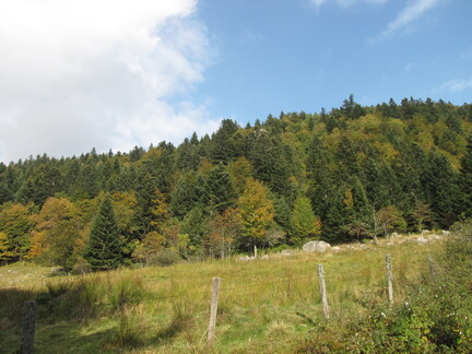 20080926 163412